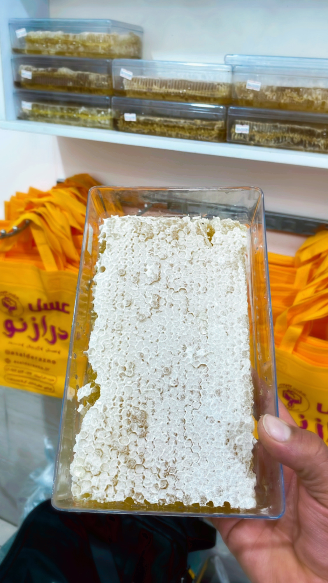 عسل باموم جنگل