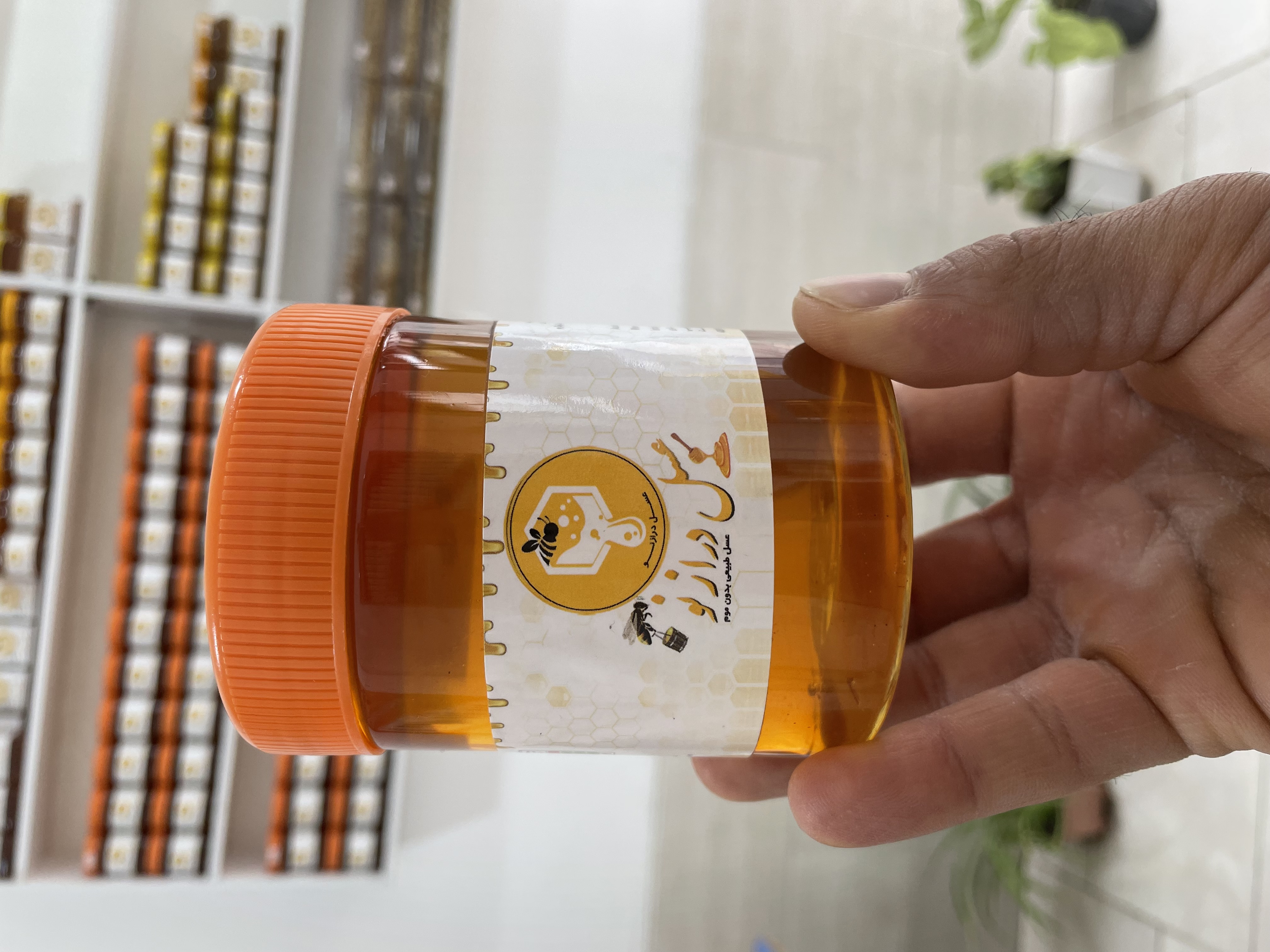 عسل جنگل بدون موم نیم کیلویی